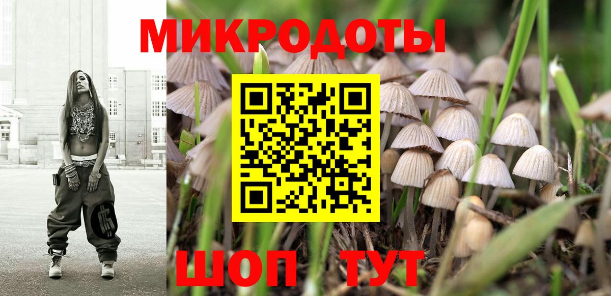 Псилоцибиновые грибы Psilocybine cubensis Лесной